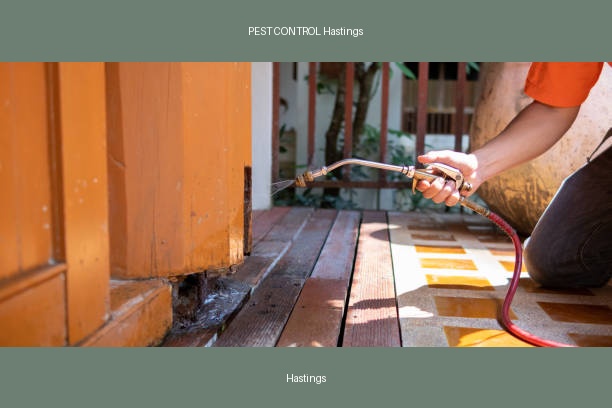 PEST CONTROL Hastings